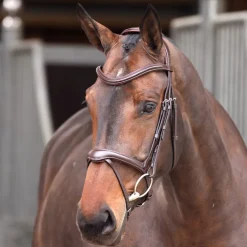 Velociti Lusso Elite Flash Bridle