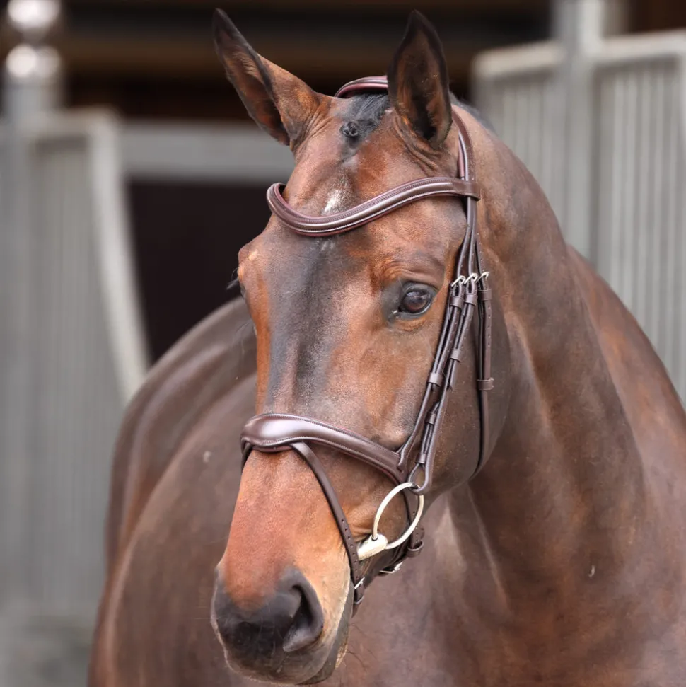 Velociti Lusso Elite Flash Bridle
