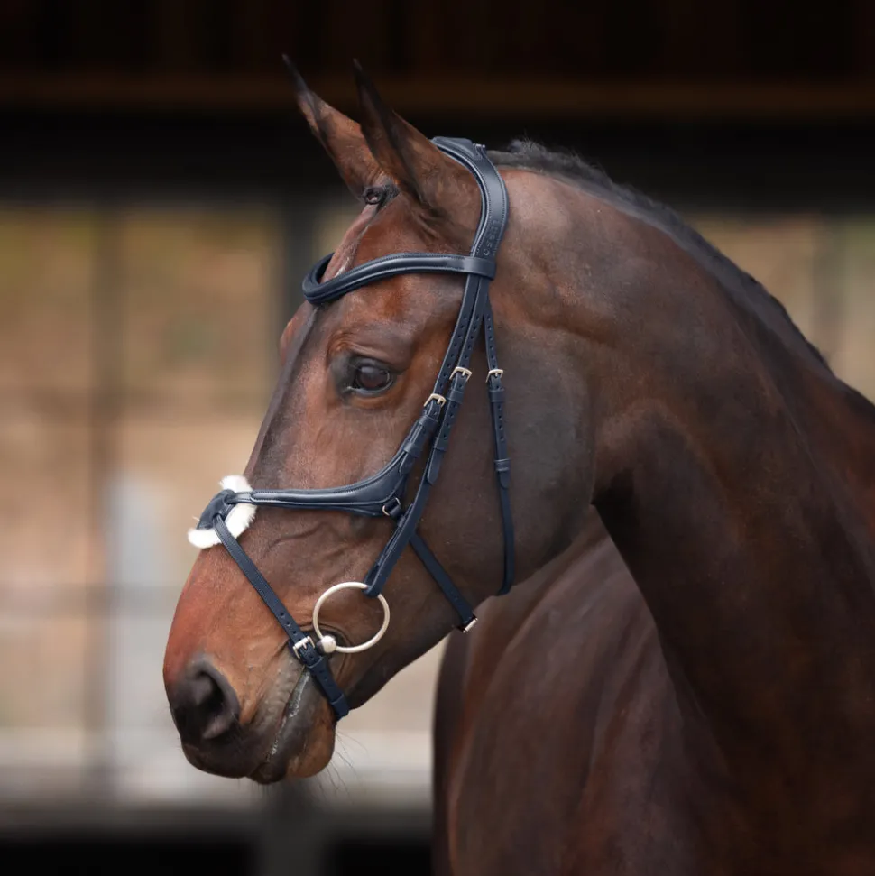 Velociti Lusso Elite Grackle Bridle