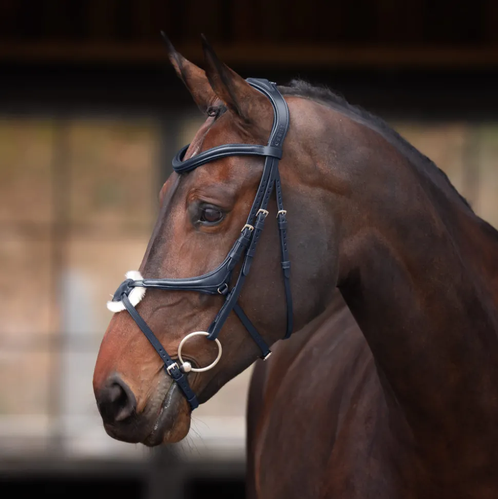 Velociti Lusso Elite Grackle Bridle