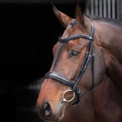 Velociti Lusso Elite Padded Cavesson Bridle