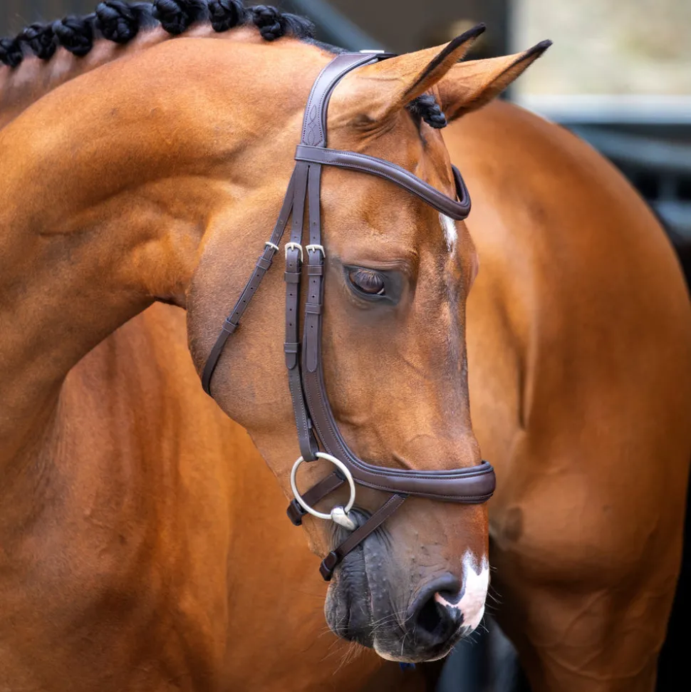 Velociti Lusso Ergonomic Curved Flash Bridle