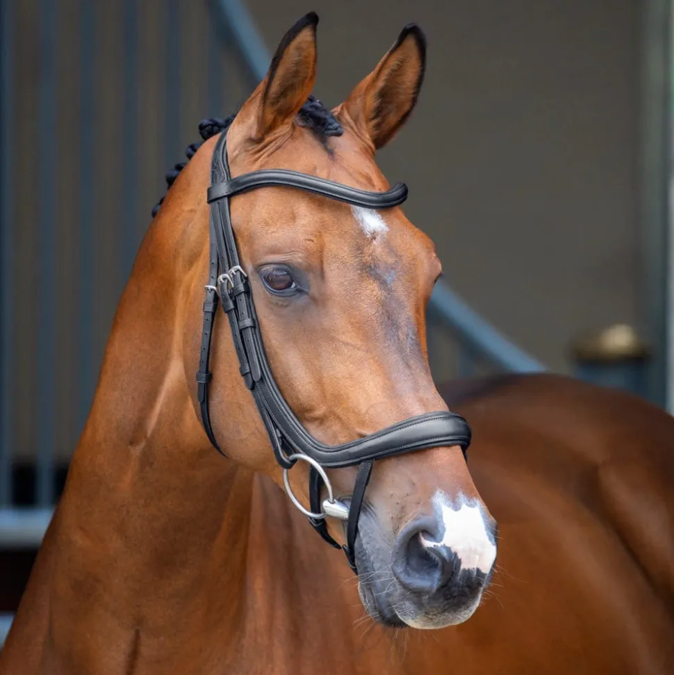 Velociti Lusso Ergonomic Curved Flash Bridle