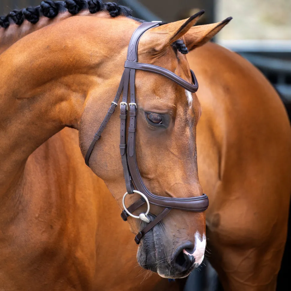Velociti Lusso Ergonomic Curved Flash Bridle