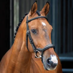 Velociti Lusso Ergonomic Flash Bridle