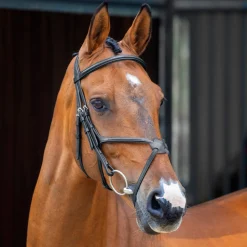 Velociti Lusso Grackle Bridle