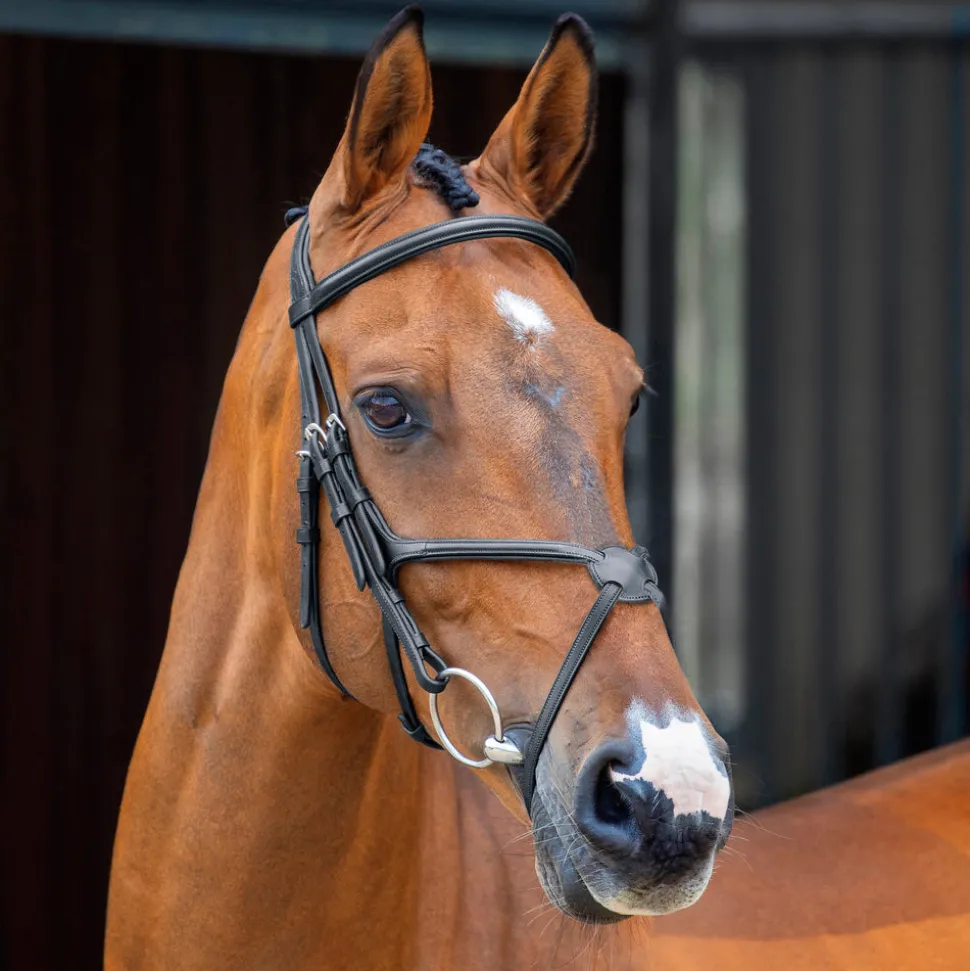 Velociti Lusso Grackle Bridle