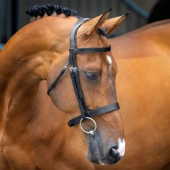 Velociti Lusso Hunter Cavesson Bridle
