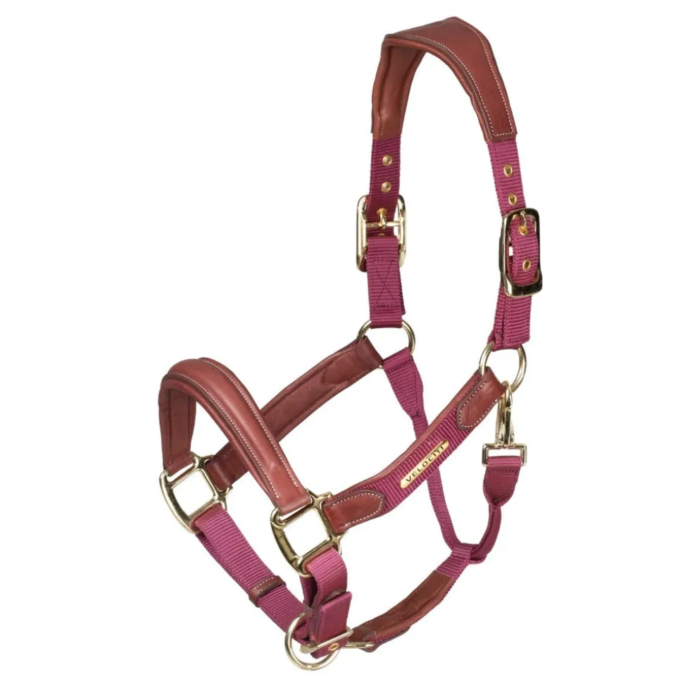 Velociti Lusso Padded Leather Headcollar