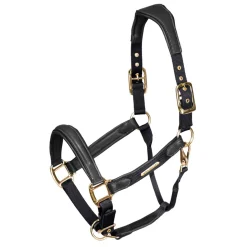 Velociti Lusso Padded Leather Headcollar