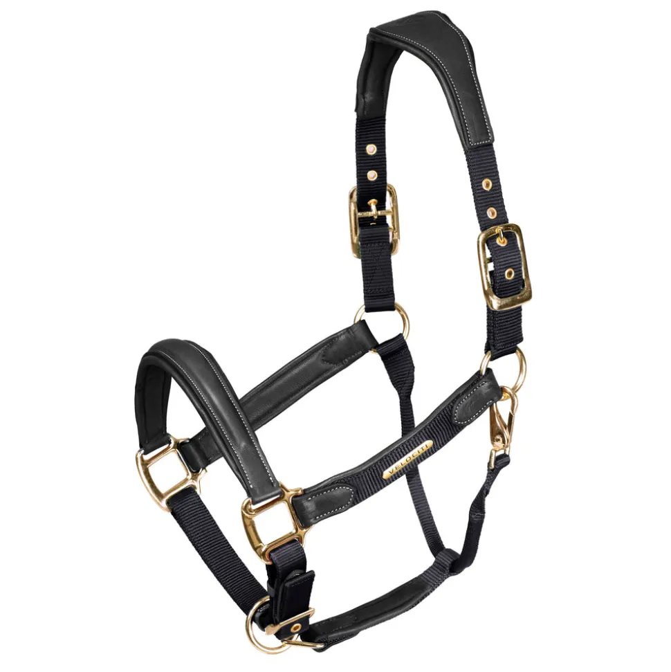 Velociti Lusso Padded Leather Headcollar