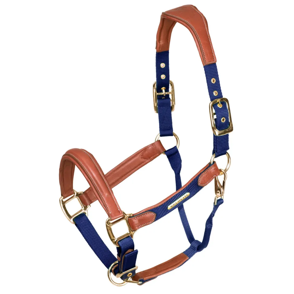 Velociti Lusso Padded Leather Headcollar