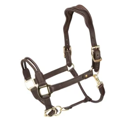 Velociti Lusso Soria Control Leather Headcollar