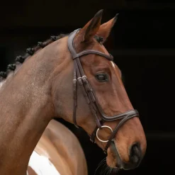 Velociti RAPIDA Comfort Flash Bridle