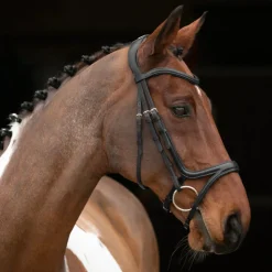 Velociti RAPIDA Comfort Flash Bridle