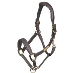 Velociti RAPIDA Comfort Leather Headcollar