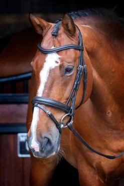 Velociti RAPIDA Dressage Bridle with Flash