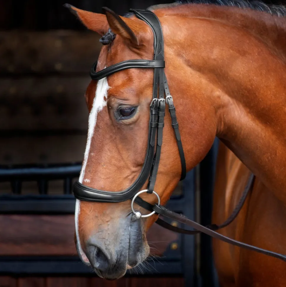 Velociti RAPIDA Ergonomic Cavesson Bridle