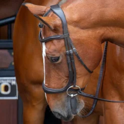 Velociti RAPIDA Ergonomic Cavesson Bridle