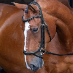 Velociti RAPIDA Ergonomic Curved Flash Bridle