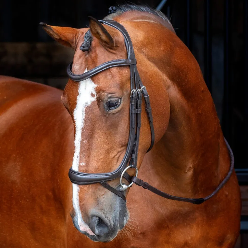 Velociti RAPIDA Ergonomic Curved Flash Bridle