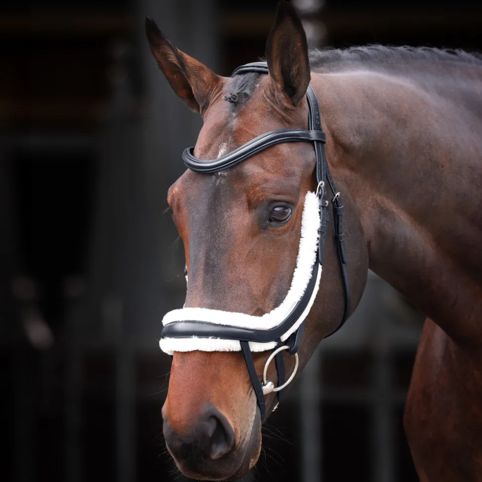 Velociti RAPIDA Fleece Curved Flash Noseband