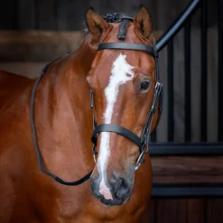 Velociti RAPIDA Hunter Cavesson Bridle