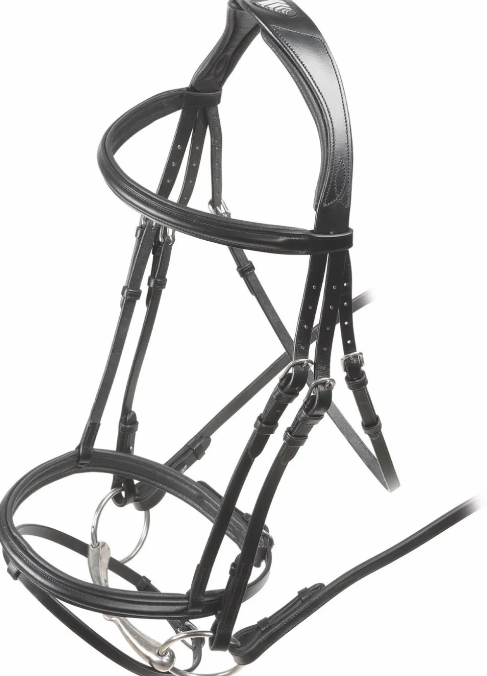 Velociti RAPIDA Padded Raised Flash Bridle
