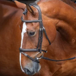 Velociti RAPIDA Padded Raised Flash Bridle