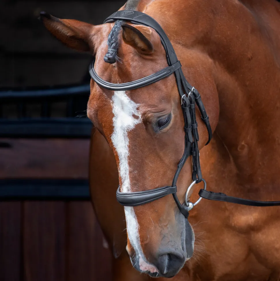 Velociti RAPIDA Rolled Padded Cavesson Bridle