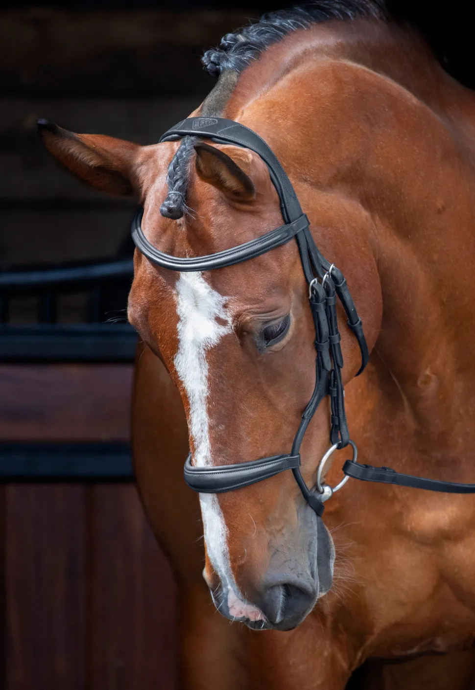 Velociti RAPIDA Rolled Padded Cavesson Bridle