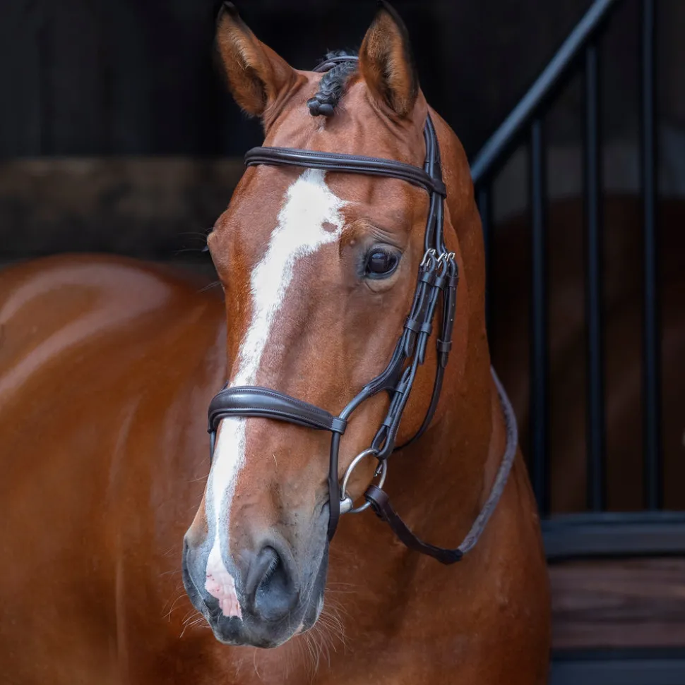 Velociti RAPIDA Rolled Padded Cavesson Bridle