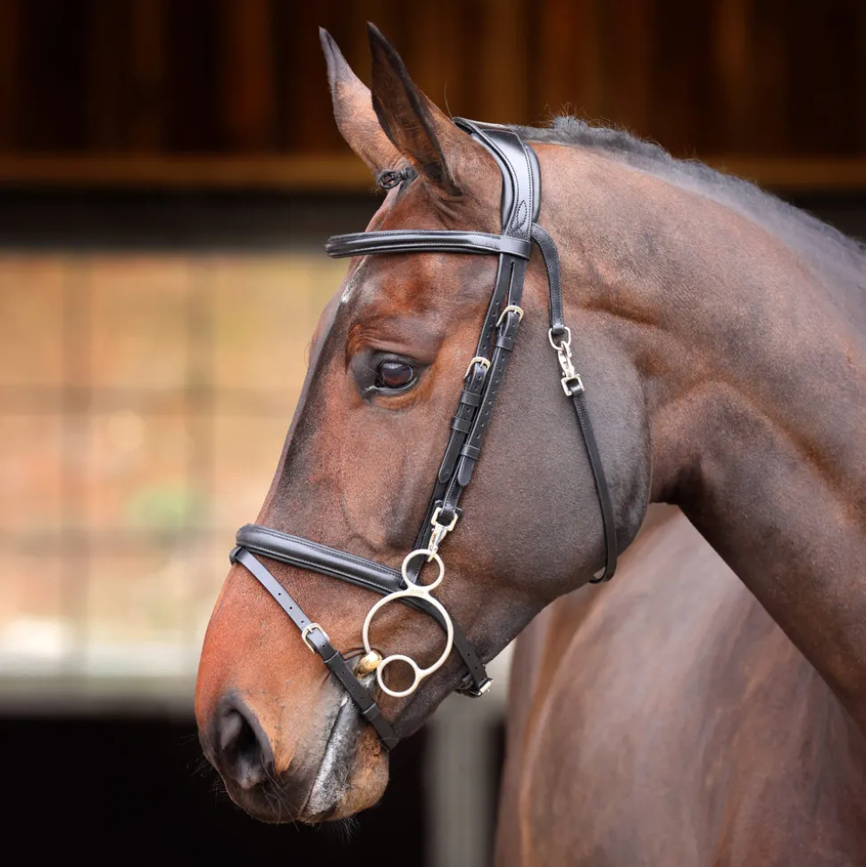 Velociti RAPIDA Training Bridle
