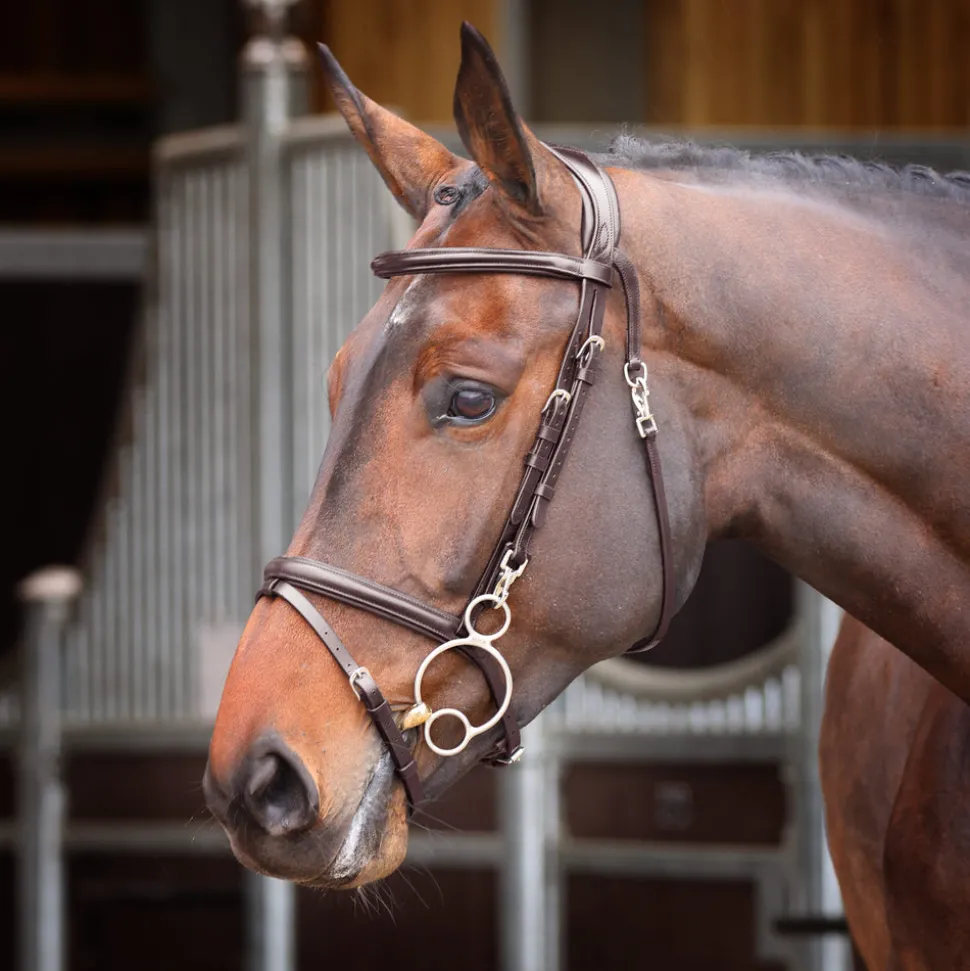 Velociti RAPIDA Training Bridle