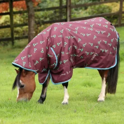 Winnie & Me 200 Turnout Rug