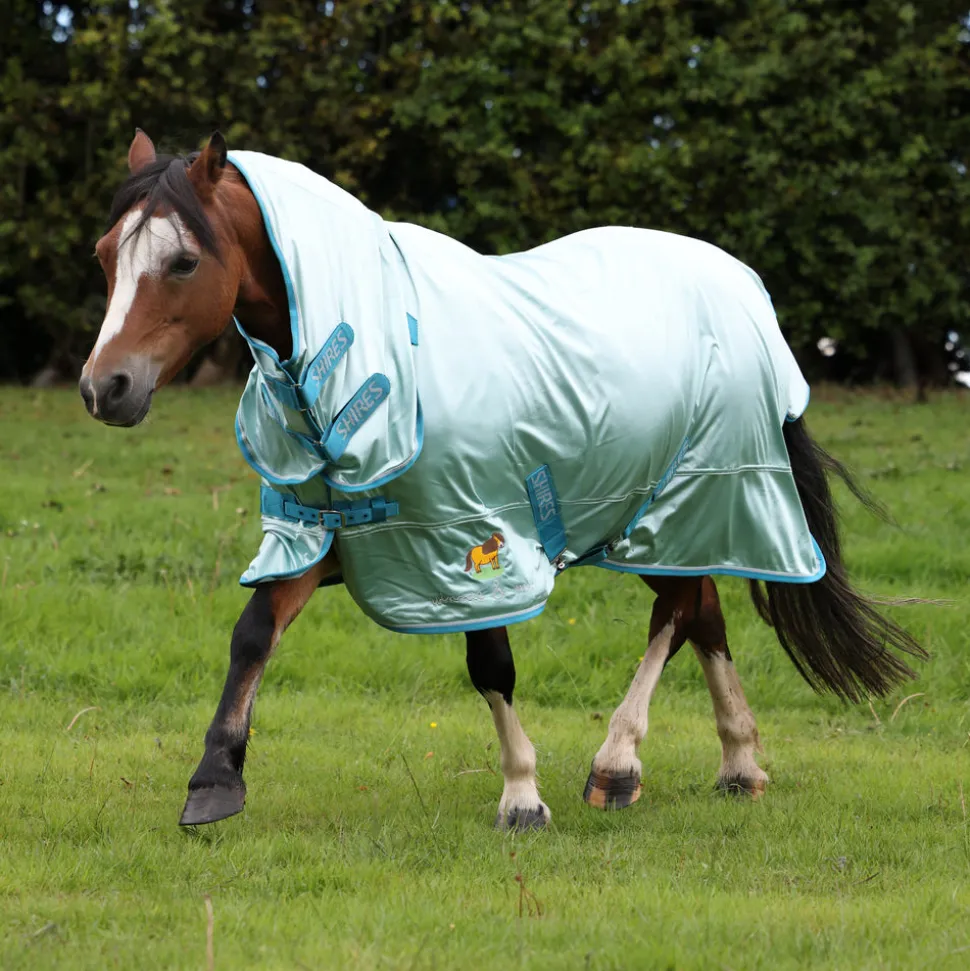 Winnie & Me Fly Combo Rug