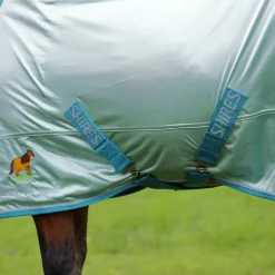 Winnie & Me Fly Combo Rug