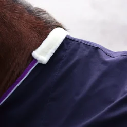 Winnie & Me Stable Sheet